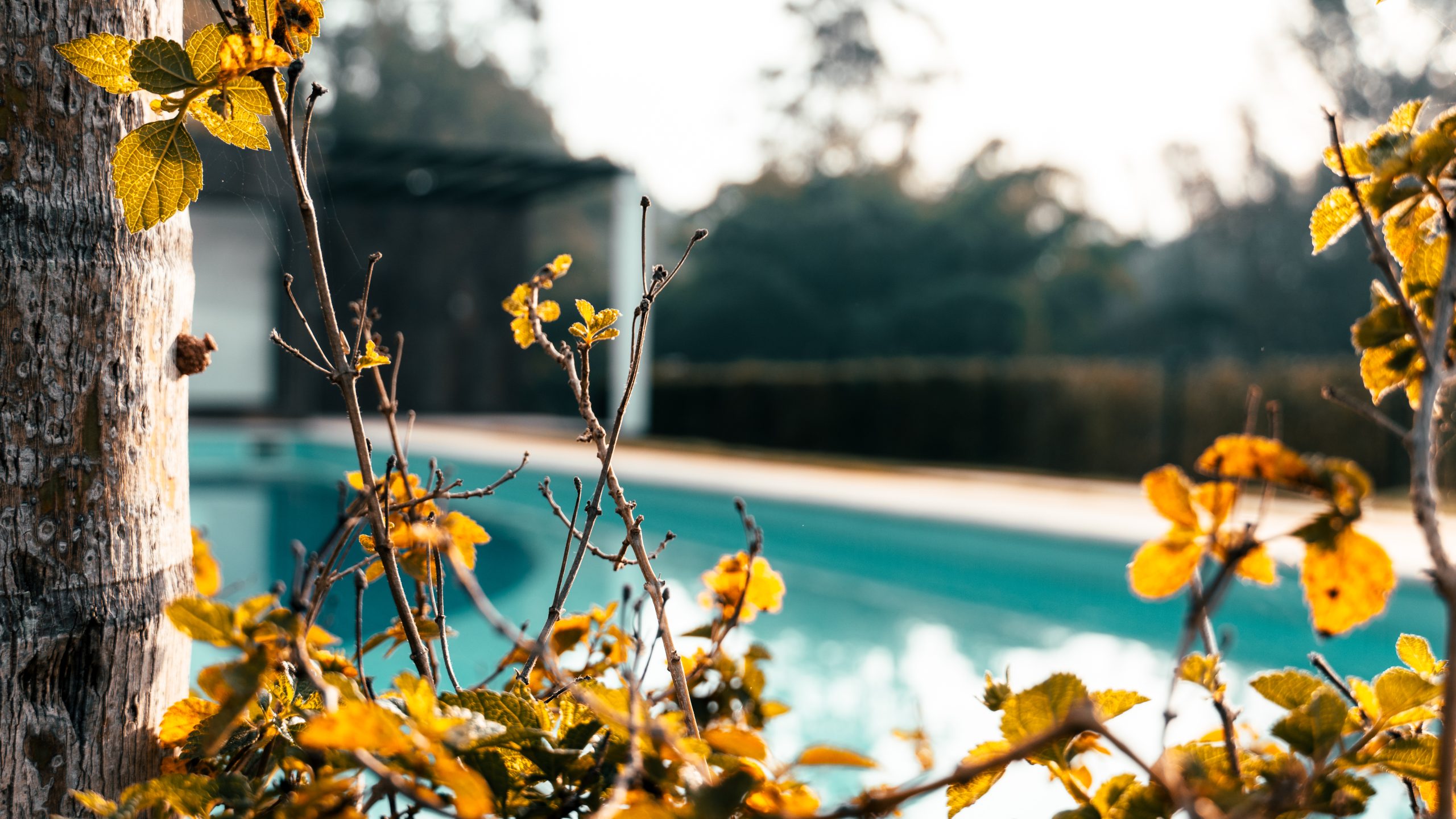 Compra de Lotes de Luxo: Guia para Futuros Proprietários