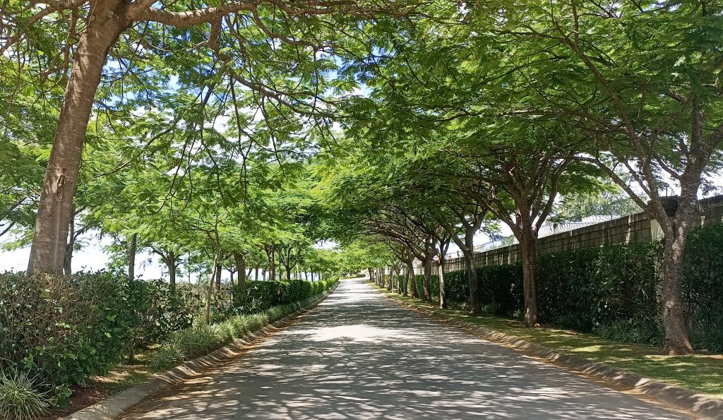 Terrenos de Alto Padrão em Jundiaí | Exclusividade