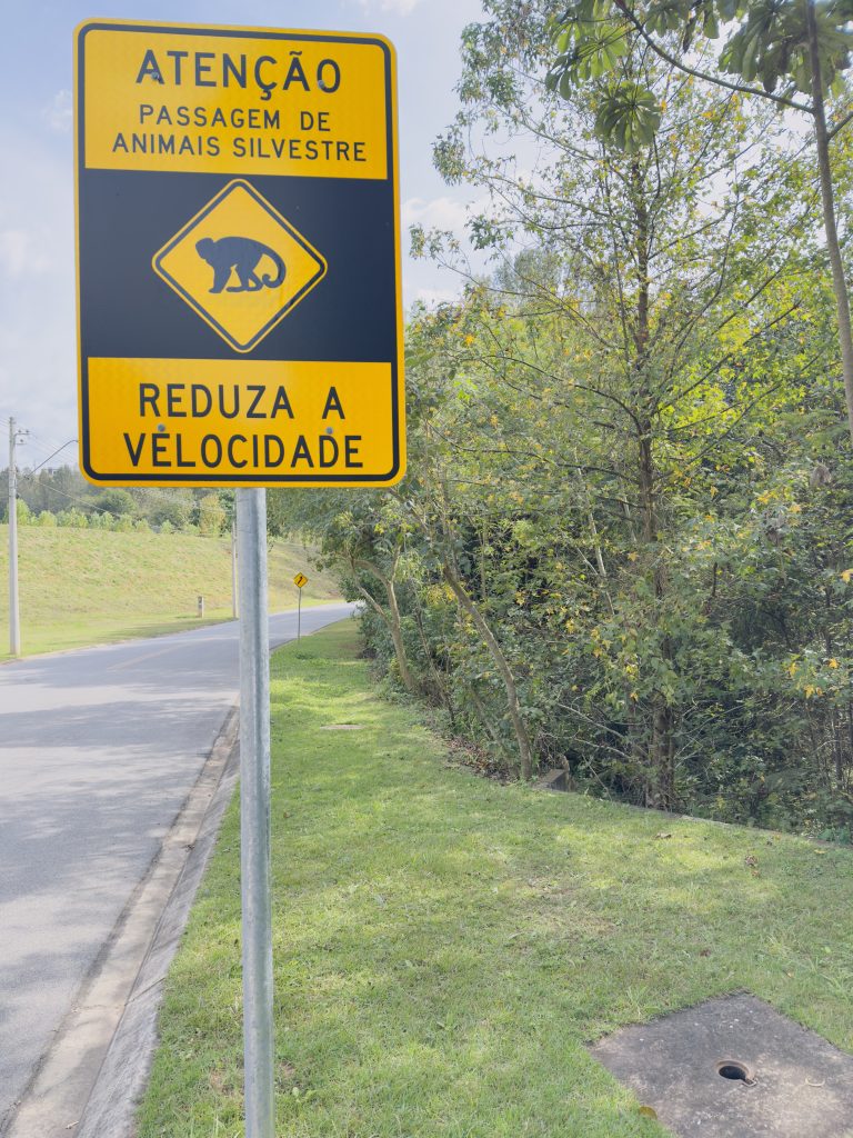 A Importância da Localização dos Condomínios de Luxo